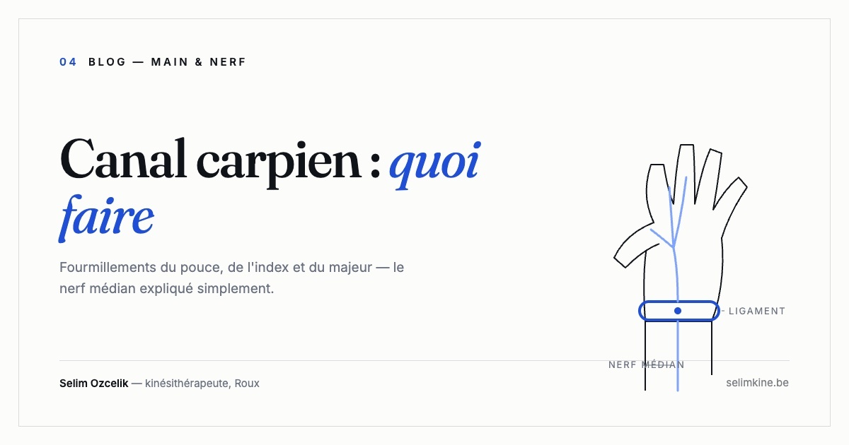 Illustration : main schématique, nerf médian traversant le canal carpien au poignet