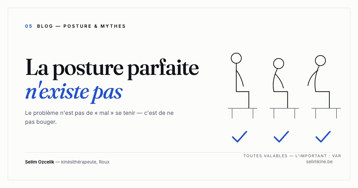 Illustration : trois courbes de dos différentes, toutes validées — la meilleure posture est celle qui change