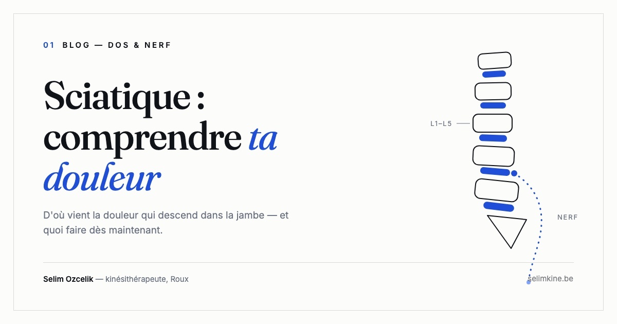 Illustration : colonne lombaire schématique et trajet du nerf sciatique